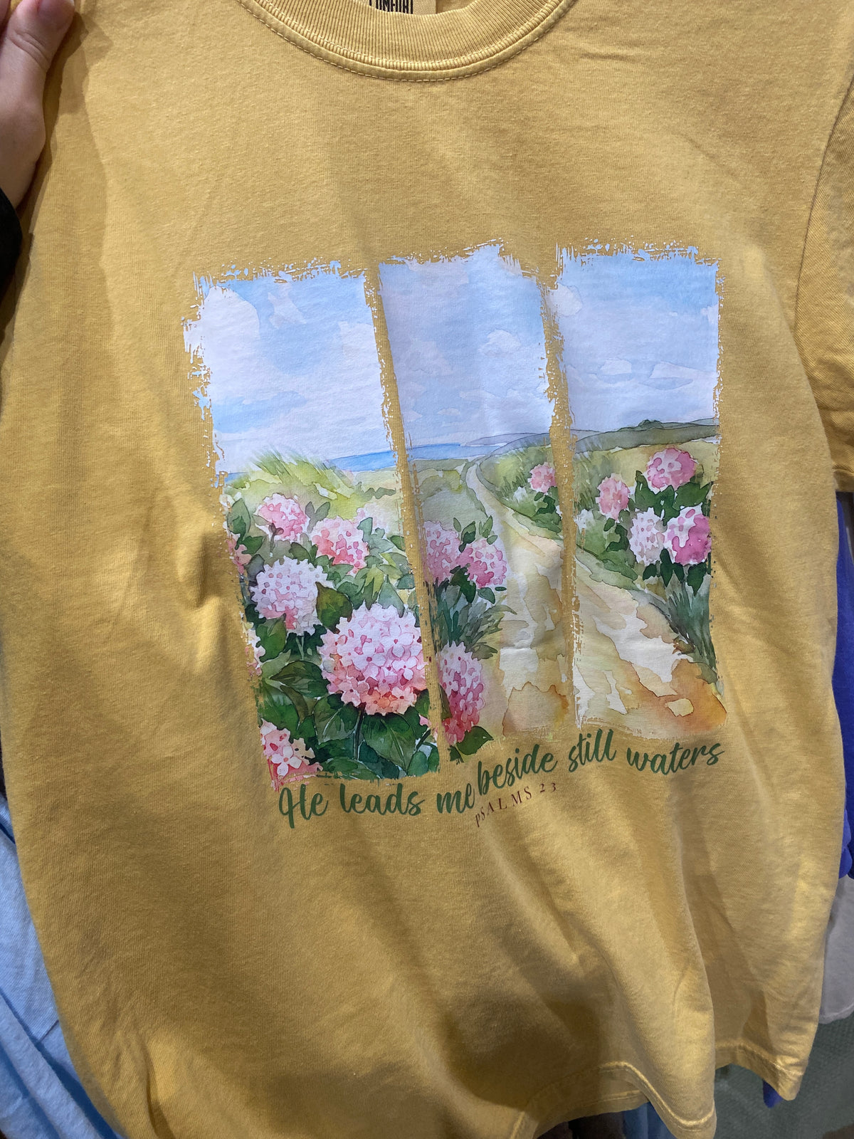 He Leads Me Through Still Waters Graphic Tee
