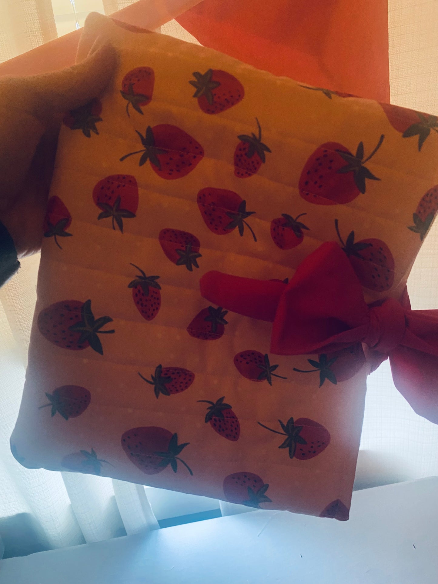 Strawberry Patch Book Sleeve