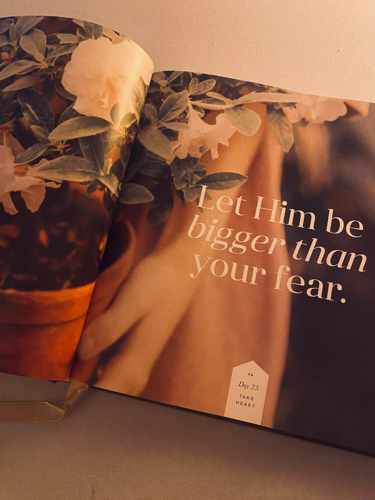 Take Heart 90-Day Devotional | Daily Grace Co.